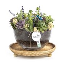 Elegance Garden