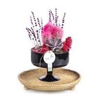Perfect Cute Bowl