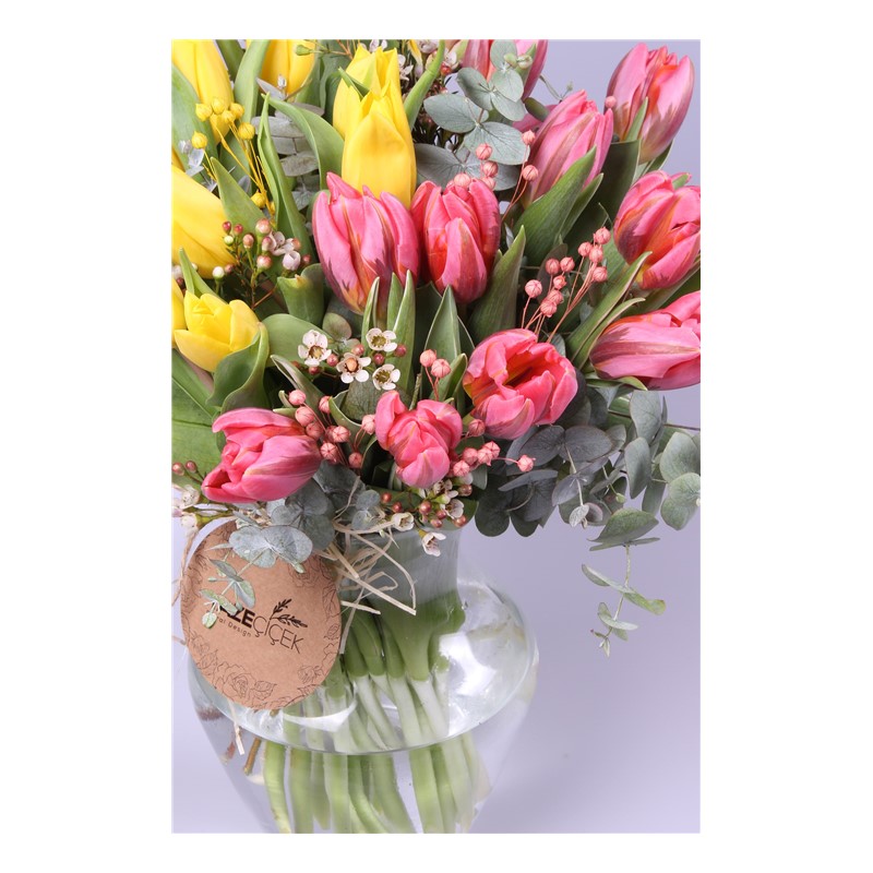 Magical Tulips - Lale