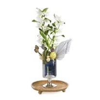 Bliss White Dendrobium Orchid