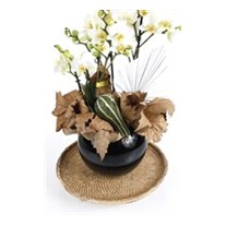 Premium Hoop Orchid