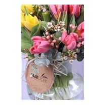 Magical Tulips - Lale