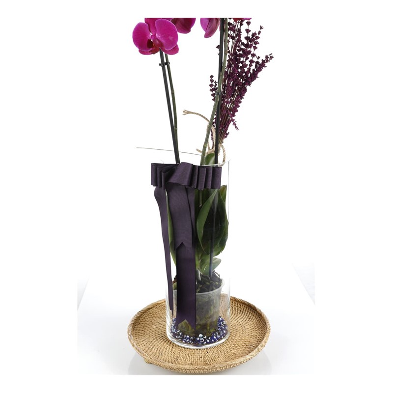 Someone Like You Purple Orchid