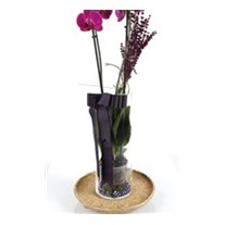 Someone Like You Purple Orchid