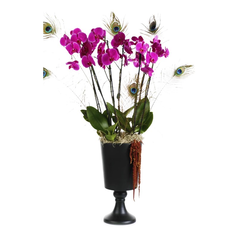 Pink Bubbles: Orchid and Bigger