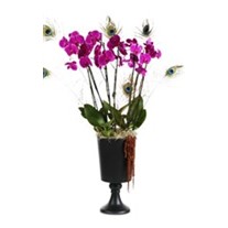 Pink Bubbles: Orchid and Bigger
