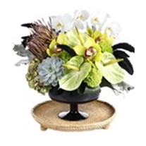 Golden Delicious Housearrangement