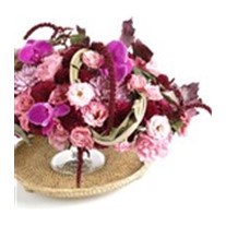Pop of Purple Whimsy