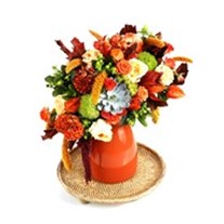 Candy Orange Cream