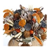 The Grasslands Dried Floral