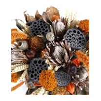 The Grasslands Dried Floral