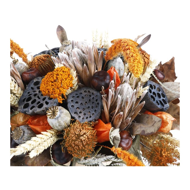 The Grasslands Dried Floral