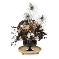 The Dried Flower Wonder