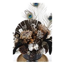 The Dried Flower Wonder