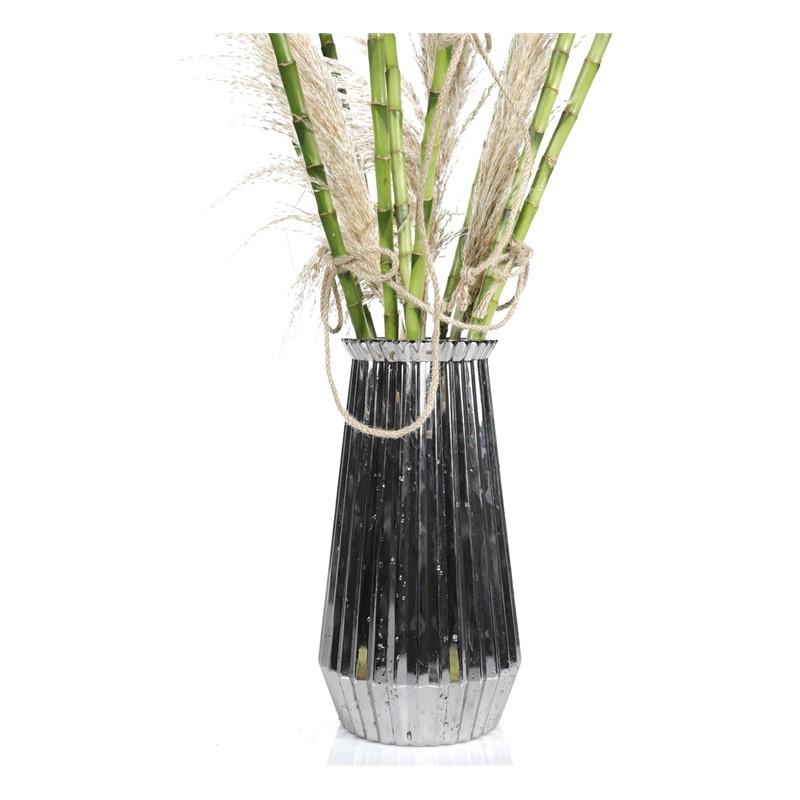 Lucky Bamboo
