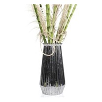 Lucky Bamboo