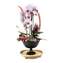 Deluxe Curling Orchid