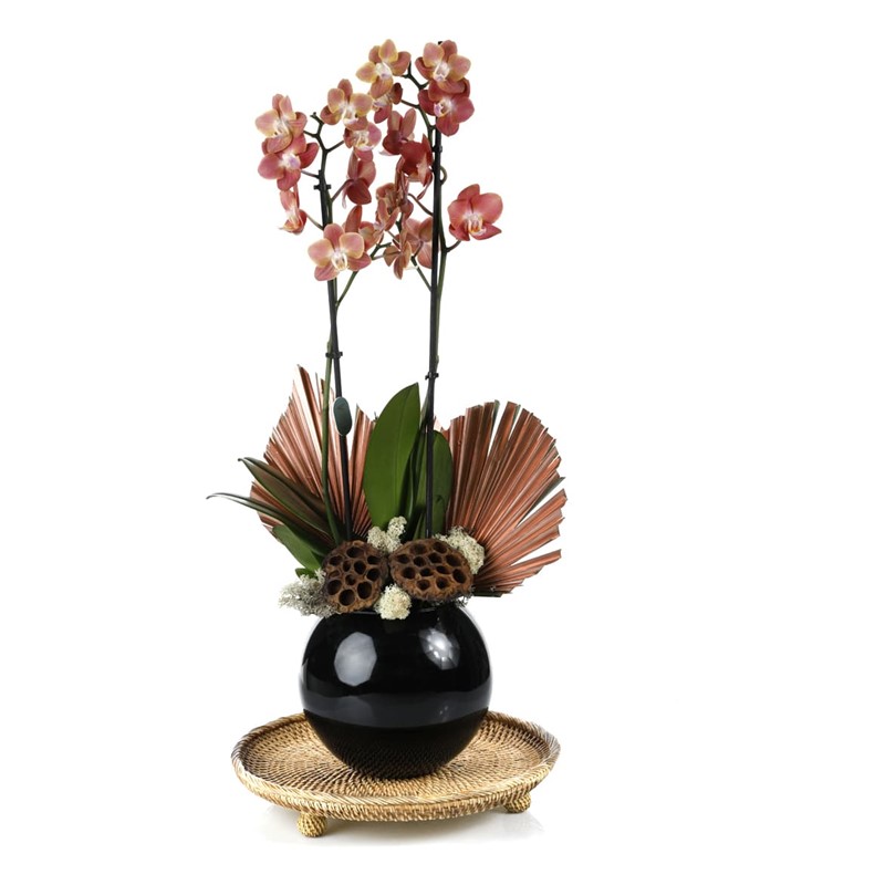 Deluxe Quality Orchid