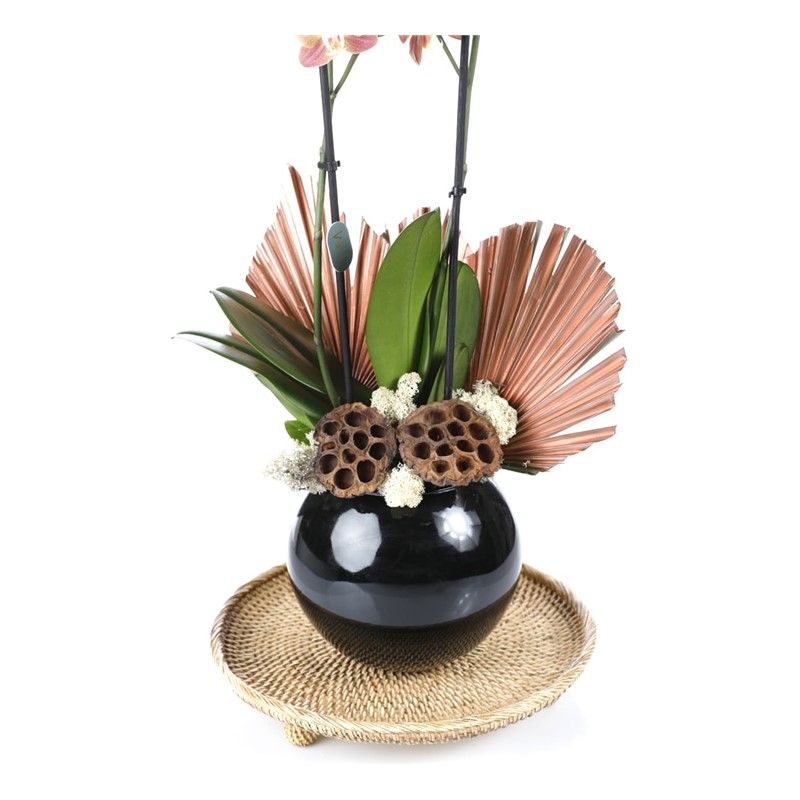 Deluxe Quality Orchid