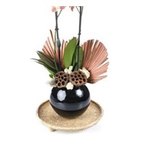 Deluxe Quality Orchid