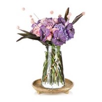Luxury Arrangement & Vanda Lover