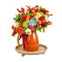 Candy Orange Cream