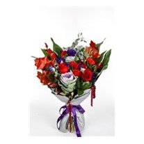 The Purples in Reds