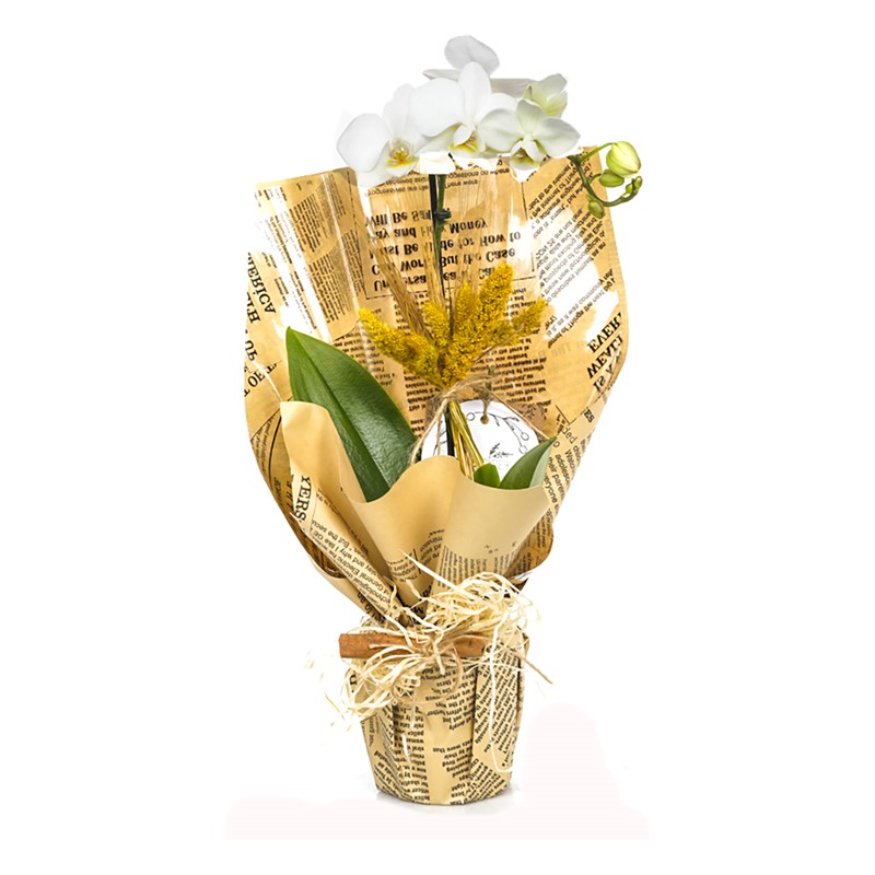 Vintage Style Orkide