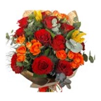 Appealing Red Roses