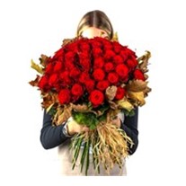 PRO & Love Designer