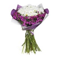 Wrapped Daisy Çiçek Buketi