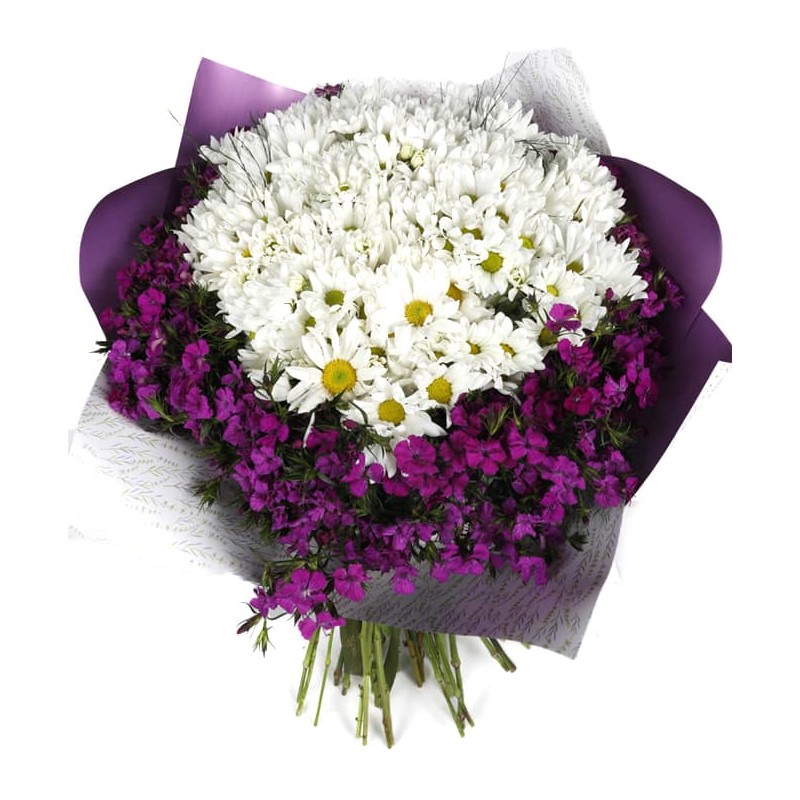 Wrapped Daisy Çiçek Buketi