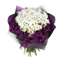 Wrapped Daisy Çiçek Buketi