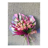 Pinks Monstera