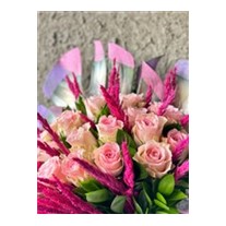 Pinks Monstera