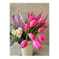 Pink Tulip Mood