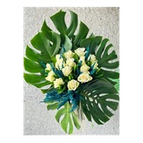 Monstera Of White Rose