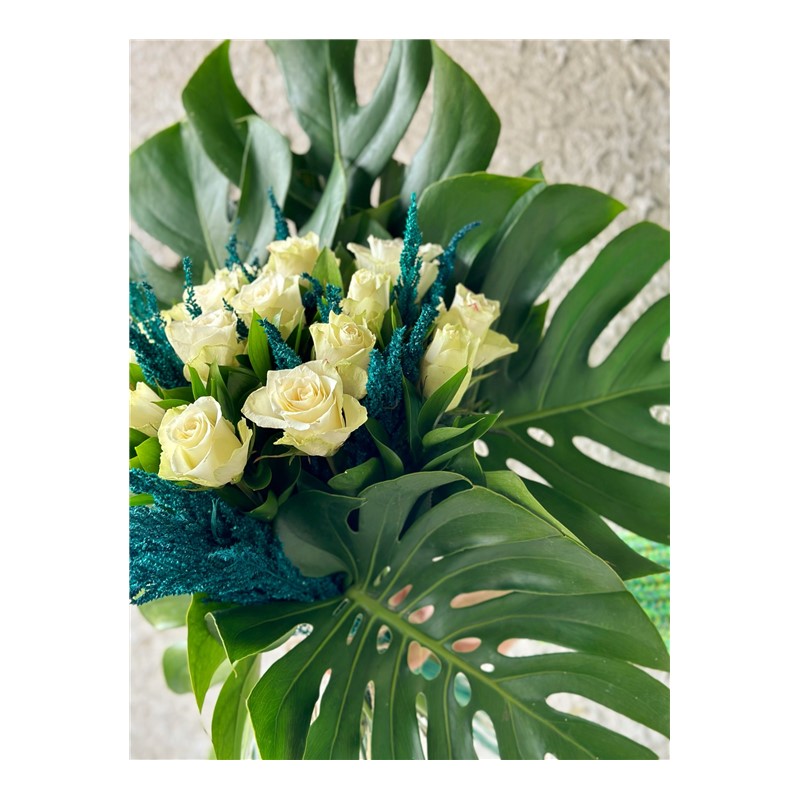 Monstera Of White Rose