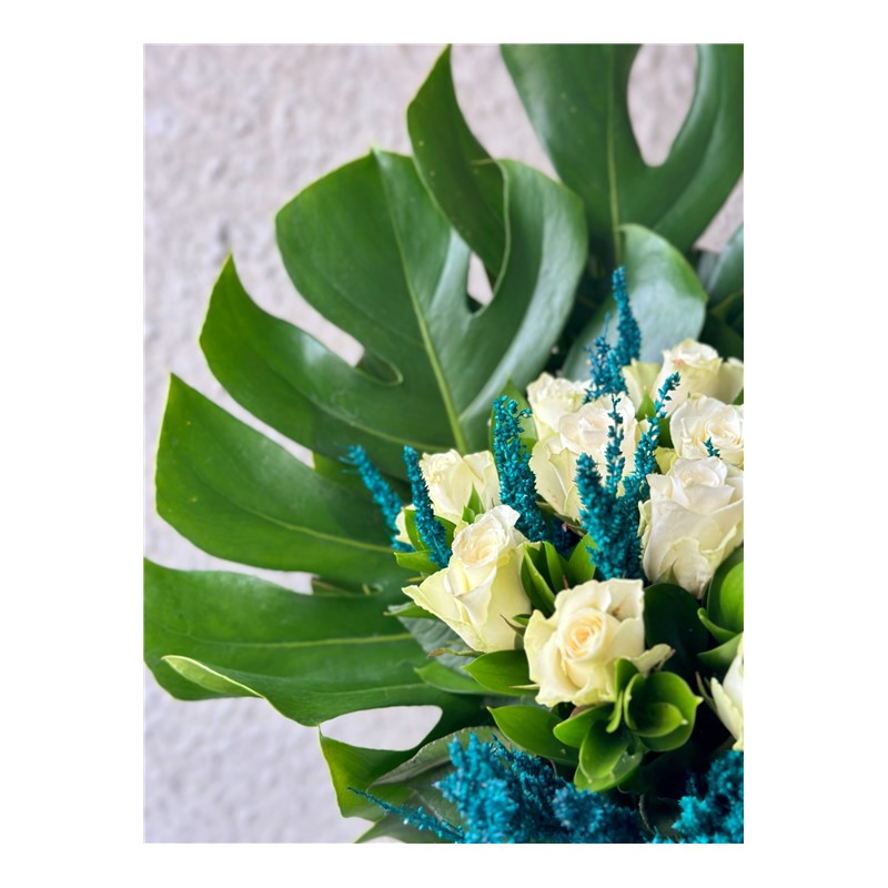 Monstera Of White Rose