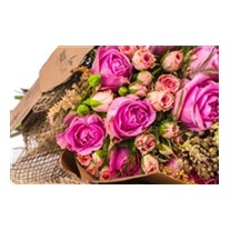 Lavish Pembe Güller