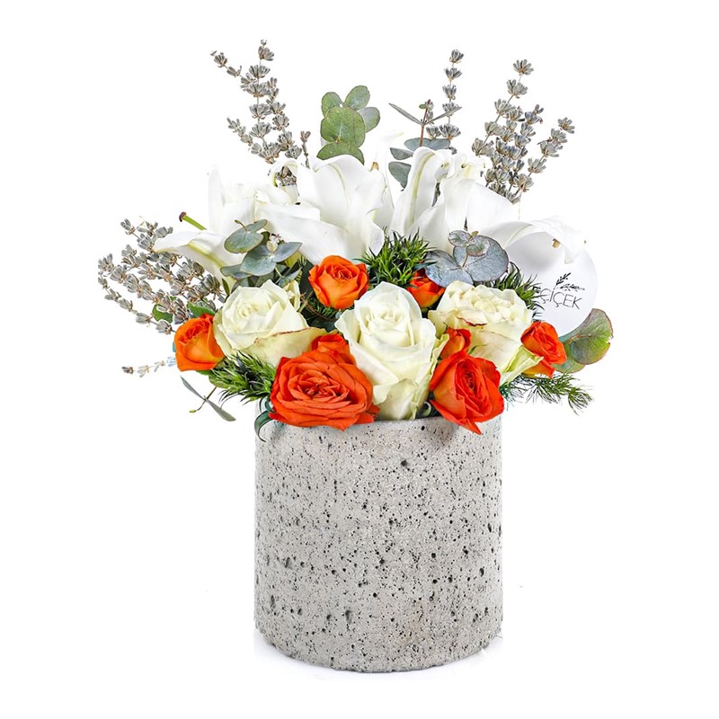 Quality Stone Fairy Lilies
