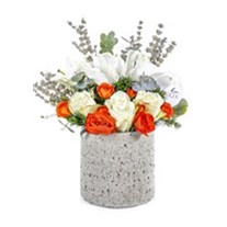 Quality Stone Fairy Lilies