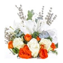 Quality Stone Fairy Lilies