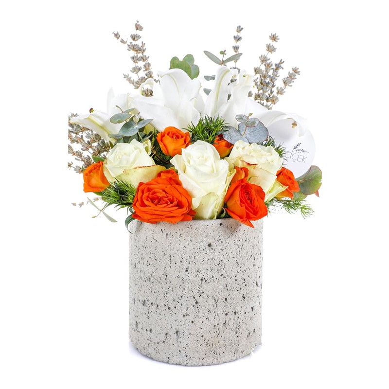 Quality Stone Fairy Lilies