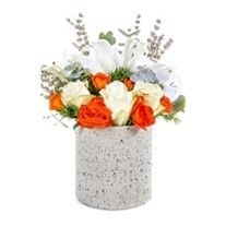Quality Stone Fairy Lilies