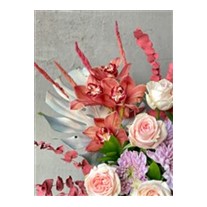 Salmon Rose Flavor