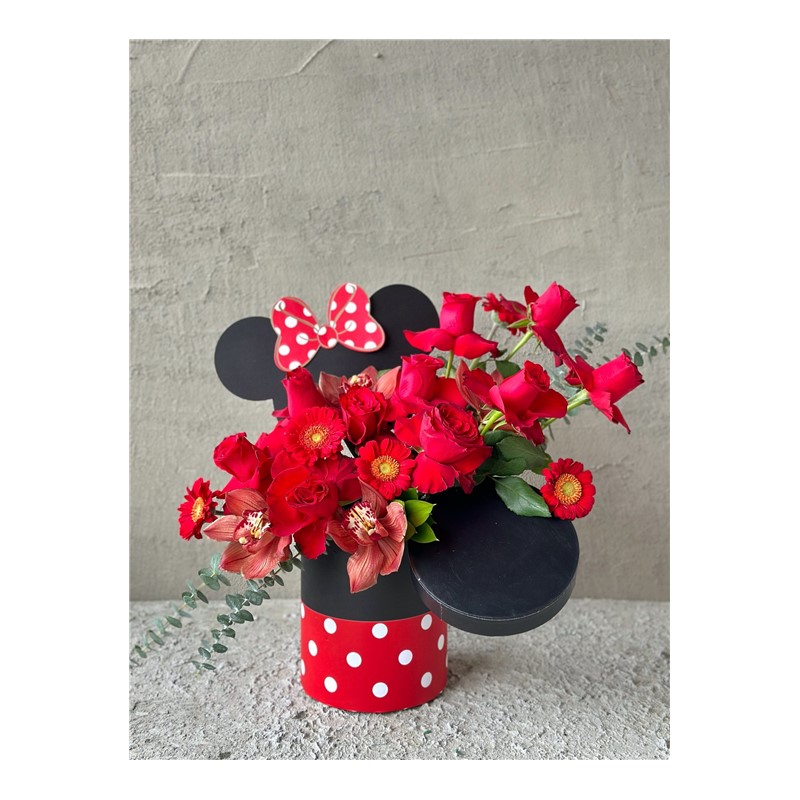 Red Mickey