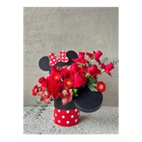 Red Mickey