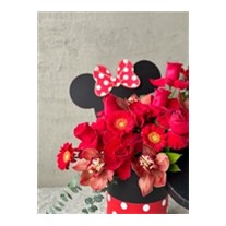Red Mickey