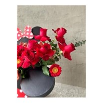 Red Mickey